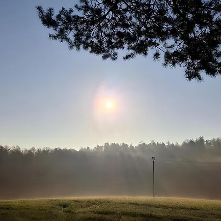 Ferienapartment Sunshine Zwinge