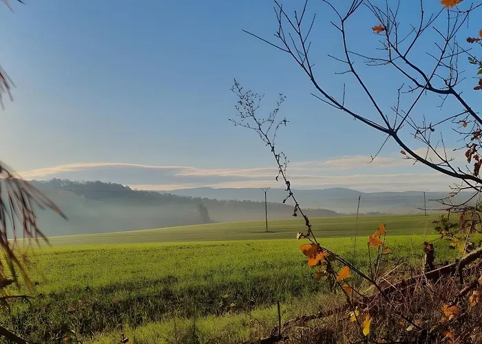 Ferienapartment Sunshine Apartment