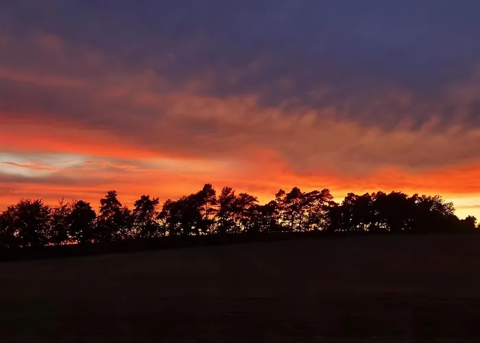 Ferienapartment Sunshine Apartment